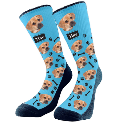 Kmart Pet Socks Review — Healthy Happy Paws