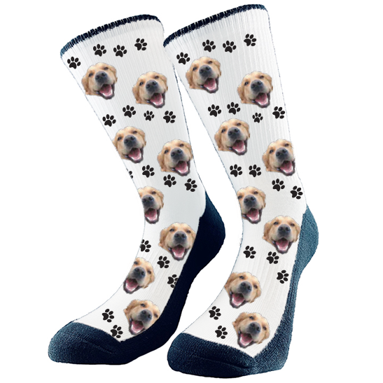 Get your pet on socks best sale